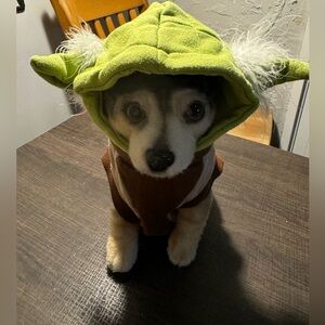 Pets - Star Wars by Petco Yoda Pet Costume - Small